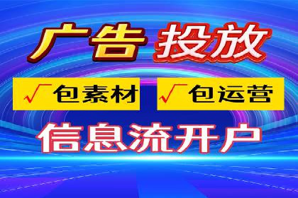 某电商平台的SEM运营实战与效果分析